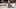 PITTSBURGH, PA – DECEMBER 06: Marcus Pettersson #28 of the Pittsburgh Penguins defends against Jack Roslovic #96 of the Columbus Blue Jackets in the second period during the game at PPG PAINTS Arena on December 6, 2022 in Pittsburgh, Pennsylvania. (Photo by Justin Berl/Getty Images)