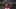 New York Yankees New York Yankees