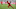 Bayern Munich defender Benjamin Pavard Bayern Munich defender Benjamin Pavard