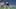 Liga MX 5