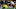 ANN ARBOR, MI – NOVEMBER 17: Michigan Wolverines defensive lineman Chase Winovich (15) rushes during a game between the Indiana Hoosiers and the Michigan Wolverines (4) on November 17, 2018 at Michigan Stadium in Ann Arbor, Michigan. (Photo by Scott W. Grau/Icon Sportswire via Getty Images ANN ARBOR, MI – NOVEMBER 17: Michigan Wolverines defensive lineman Chase Winovich (15) rushes during a game between the Indiana Hoosiers and the Michigan Wolverines (4) on November 17, 2018 at Michigan Stadium in Ann Arbor, Michigan. (Photo by Scott W. Grau/Icon Sportswire via Getty Images