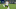 FPL Forward option GW1 FPL Forward option GW1