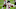 Chicago Bears, David Montgomery Chicago Bears, David Montgomery