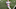 Vincent Carchietta-USA TODAY Sports Vincent Carchietta-USA TODAY Sports