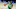 Boston Celtics Boston Celtics