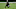 New Orleans Saints New Orleans Saints
