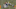 Sack2 Sack2