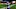Buffalo Bills Buffalo Bills