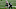 Jakobi Meyers #16 of the New England Patriots (Photo by Jim McIsaac/Getty Images) Jakobi Meyers #16 of the New England Patriots (Photo by Jim McIsaac/Getty Images)
