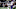 dallas cowboys dallas cowboys