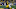 ANN ARBOR, MICHIGAN – OCTOBER 26: Nico Collins #4 of the Michigan Wolverines catches a pass for a touchdown during a college football game against the Notre Dame Fighting Irish at Michigan Stadium on October 26, 2019 in Ann Arbor, Michigan. (Photo by Aaron J. Thornton/Getty Images) ANN ARBOR, MICHIGAN – OCTOBER 26: Nico Collins #4 of the Michigan Wolverines catches a pass for a touchdown during a college football game against the Notre Dame Fighting Irish at Michigan Stadium on October 26, 2019 in Ann Arbor, Michigan. (Photo by Aaron J. Thornton/Getty Images)