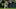 Green Bay Packers Green Bay Packers