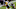 Philadelphia Eagles Philadelphia Eagles