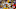 LSU Football Spring Game LSU Football Spring Game