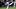 Seattle Mariners