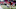 Atlanta Falcons Atlanta Falcons