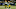Green Bay Packers Green Bay Packers