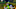 ARMS Global Testpunch image; screenshot taken by Brandon Crespo on the Nintendo Switch. ARMS Global Testpunch image; screenshot taken by Brandon Crespo on the Nintendo Switch.
