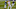 Pittsburgh Steelers Shakur Brown Cornerback Pittsburgh Steelers Shakur Brown Cornerback