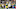 Green Bay Packers Green Bay Packers