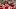 Chicago Bears, Dre Kirkpatrick Chicago Bears, Dre Kirkpatrick