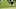 BETHESDA, MD – JUNE 24: Francesco Molinari of Italy lines up a putt on the 17th hole during the second round of the Quicken Loans National at Congressional Country Club on June 24, 2016 in Bethesda, Maryland. (Photo by Patrick Smith/Getty Images) BETHESDA, MD – JUNE 24: Francesco Molinari of Italy lines up a putt on the 17th hole during the second round of the Quicken Loans National at Congressional Country Club on June 24, 2016 in Bethesda, Maryland. (Photo by Patrick Smith/Getty Images)
