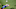 DraftKings DraftKings