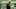Adam Gase, New York Jets, 2021 NFL Draft Adam Gase, New York Jets, 2021 NFL Draft