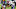 Chicago Bears, Dwayne Allen Chicago Bears, Dwayne Allen