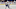 Toronto Maple Leafs Toronto Maple Leafs