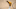 Atlanta Hawks Atlanta Hawks