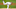 DraftKings DraftKings