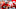 Who will start at quarterback for the Ohio State Football team? Mandatory Credit: Joseph Maiorana-USA TODAY Sports Who will start at quarterback for the Ohio State Football team? Mandatory Credit: Joseph Maiorana-USA TODAY Sports
