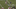 Michael Floyd TD catch Seattle Michael Floyd TD catch Seattle