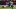 Philadelphia Eagles Philadelphia Eagles
