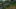 Riot Games Riot Games