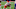 ORCHARD PARK, NY – OCTOBER 19: Andrew Wylie #77 of the Kansas City Chiefs waits for the snap against the Buffalo Bills at Bills Stadium on October 19, 2020 in Orchard Park, New York. Kansas City beats Buffalo 26 to 17. (Photo by Timothy T Ludwig/Getty Images) ORCHARD PARK, NY – OCTOBER 19: Andrew Wylie #77 of the Kansas City Chiefs waits for the snap against the Buffalo Bills at Bills Stadium on October 19, 2020 in Orchard Park, New York. Kansas City beats Buffalo 26 to 17. (Photo by Timothy T Ludwig/Getty Images)