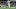 DraftKings Showdown