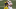 Michigan football Michigan football