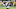 buffalo bills tyrod taylor buffalo bills tyrod taylor