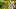 RBC Heritage, Harbour Town, PGA Tour, 2023 RBC Heritage, Jordan Spieth, Hilton Head Island RBC Heritage, Harbour Town, PGA Tour, 2023 RBC Heritage, Jordan Spieth, Hilton Head Island