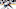 Columbus Blue Jackets Columbus Blue Jackets