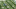 Screen Shot 2016-08-16 at 4.18.49 PM Screen Shot 2016-08-16 at 4.18.49 PM