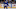 Toronto Maple Leafs
