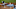 Toronto Blue Jays