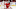 Detroit Red Wings, Jonathan Bernier
