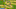 kingdom-rush-ios-screen kingdom-rush-ios-screen
