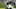 Michigan football Michigan football