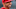 Oli Marmol, STL Cardinals Oli Marmol, STL Cardinals