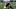 New England Patriots New England Patriots